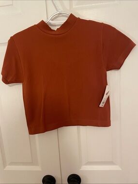 Classic Ribbed Crop Top in Rust